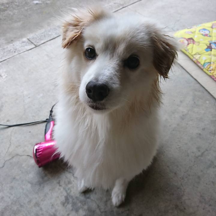 48db09da 3680 4249 981a 0f5cc136253f 1553587806082