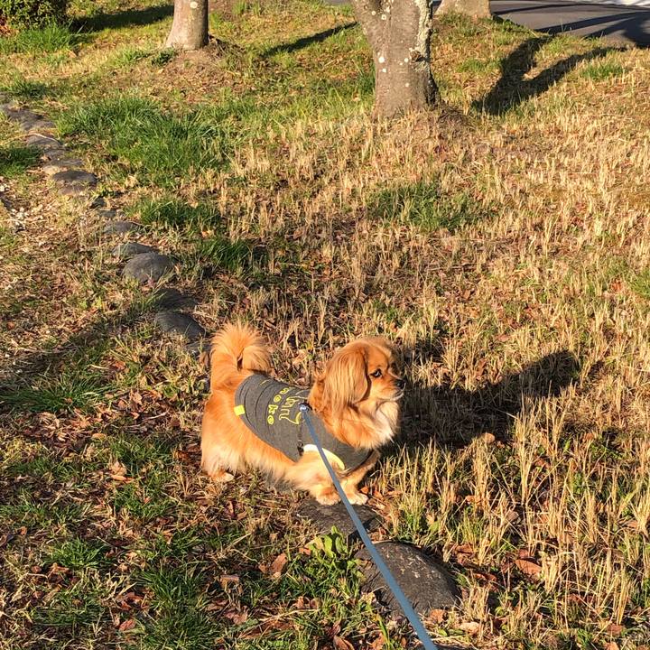 48db2054 3f6b 4ad2 99e5 6b2324d72c71 1553383166278