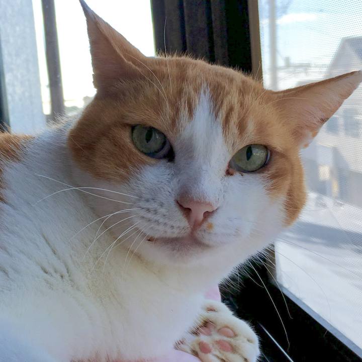 48db45cc 6b3d 4541 abfa ac5a1242e816 1569369817261