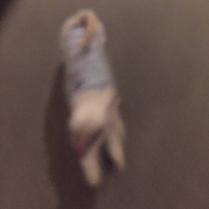 48db588e 9f3f 47cc 96c8 565d1bcad42f 1544110278921