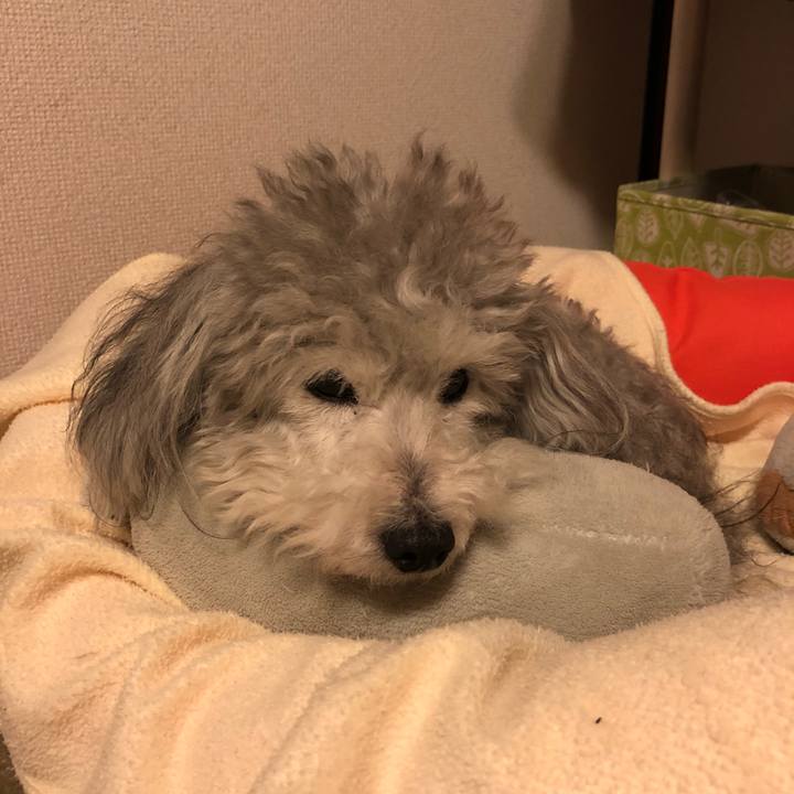 48db8fee f3f6 4385 8635 8e8c6a1193c7 1521028001425