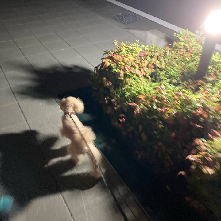 48db9e65 990a 46a4 ad42 11a53c569c5d 1663498731607