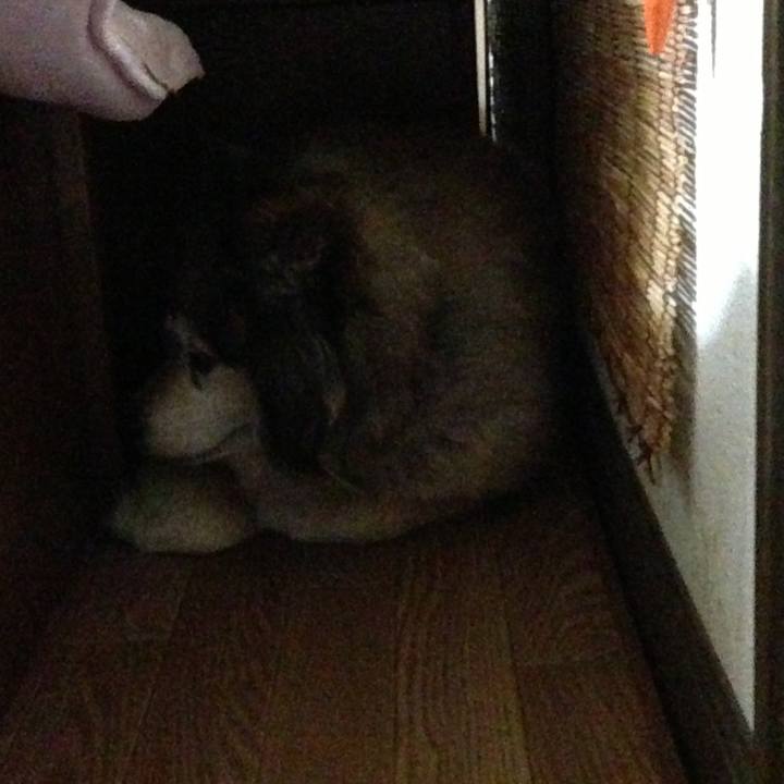 48dbaf5e 36e2 4cea a1d0 1e866afdfd86 1627439289788