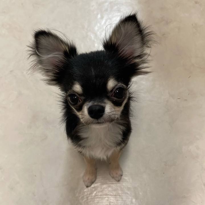 48dbcc36 511e 48b5 ac9c 53f2a56563fb 1599651599011