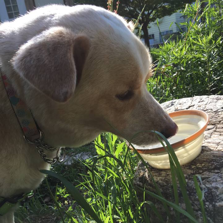 48dbd11c b6b9 4e9a ad97 6ba0965527bf 1524958806635