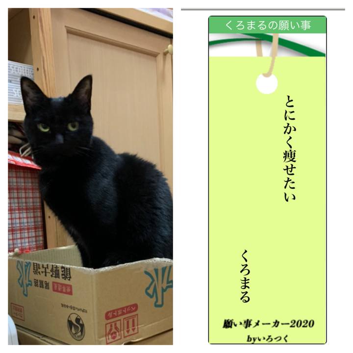 48dbdcb0 5734 4569 933a 1958e417e465 1594093169769