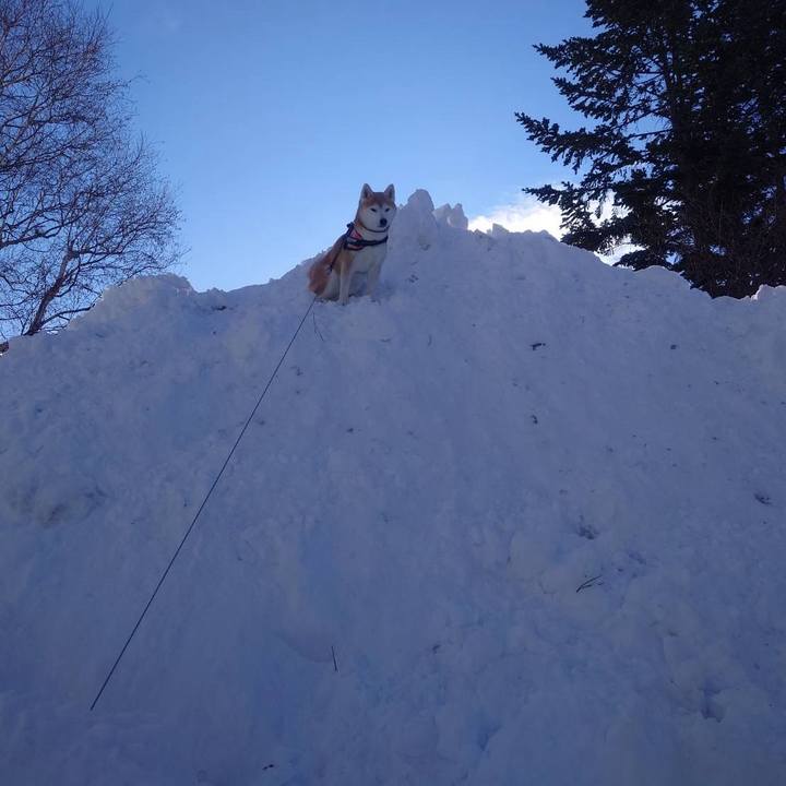 48dbdcba f778 4c8c bf64 62fc66c92966 1739238098306