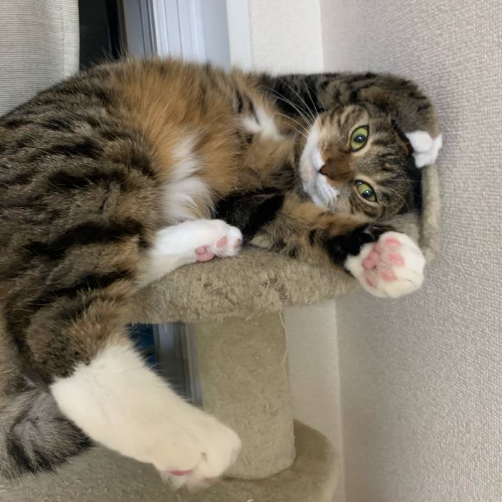 48dbe888 06a3 4720 8ecf 151649b907ec 1635514800616