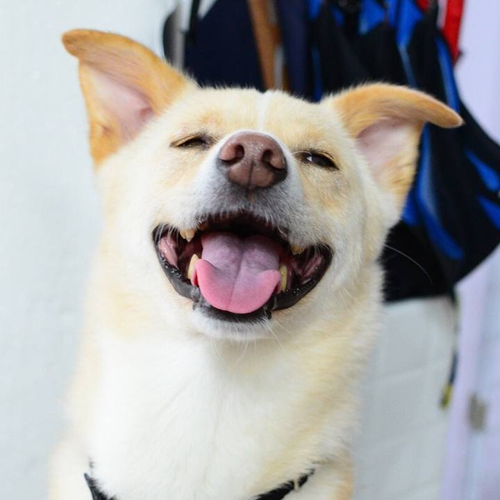 48dc0857 515f 4867 a2c3 aaa207297be9 1537719164373