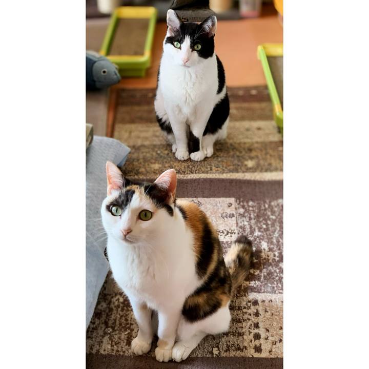 48dc0c18 8368 4623 8d32 a69737f760ab 1595561011040