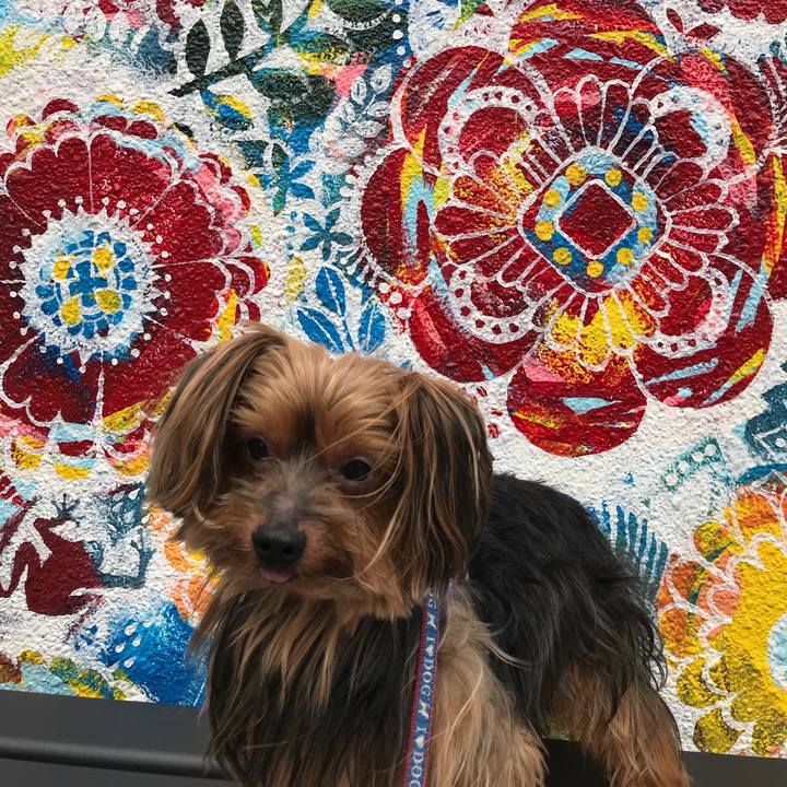 48dc0e12 e78d 4150 81c8 3ff7168fdede 1536640118579