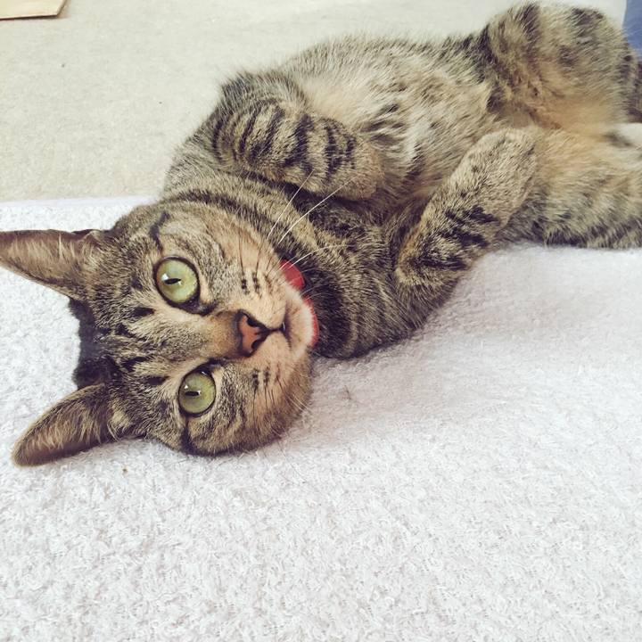 48dc286b 34d6 40a3 babd a60fb6f0efdb 1527074716795