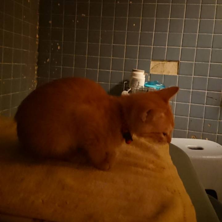 48dc40c8 1d4c 4452 84fe 34657410e3c2 1630752466060