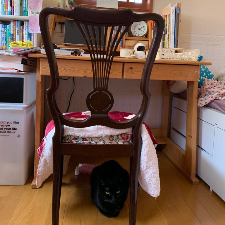 48dc74b6 1343 424e 89d9 3ee96a945c3c 1652598486366