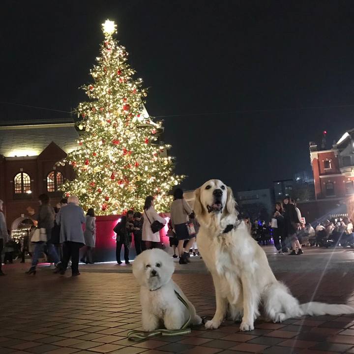 48dc9670 8330 462b 8797 fa650243223a 1543454733863