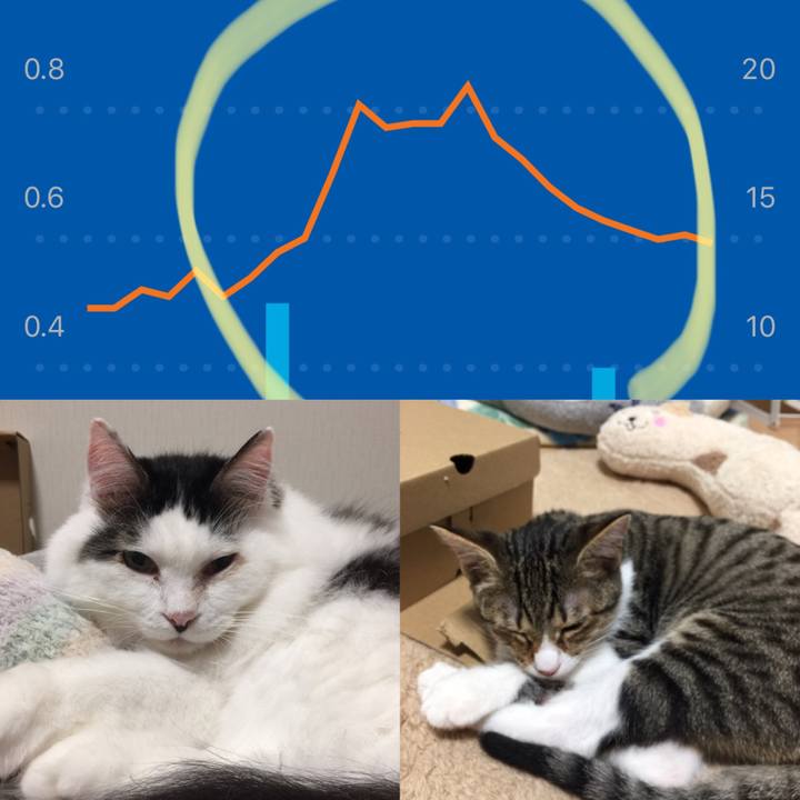 48dcbdc9 c5ff 4d77 8e13 78dd6db3e763 1540097637588