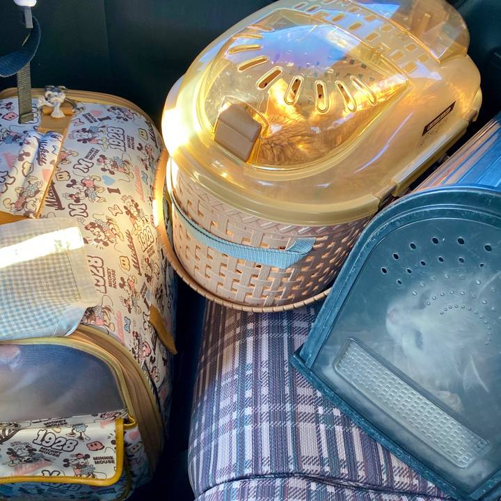 48dcd856 9e31 4960 bcfc a24ea5b38ab0 1576247324623