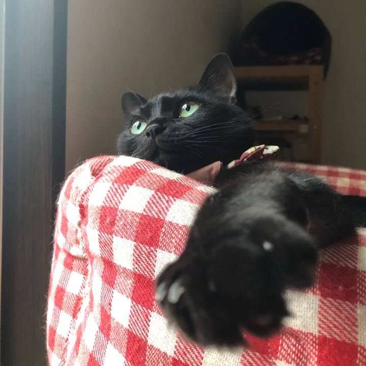 48dd10c3 f689 4b22 9b08 8c6f4159bdcf 1589879354606