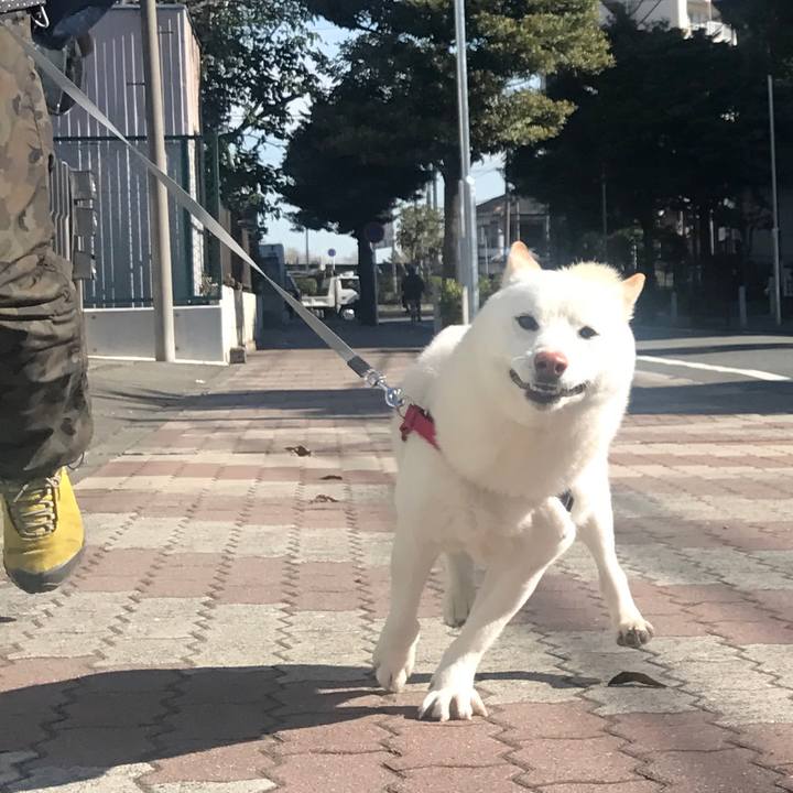 48dd1a34 6bbc 470c a7d6 db01d41bb50f 1519952949901