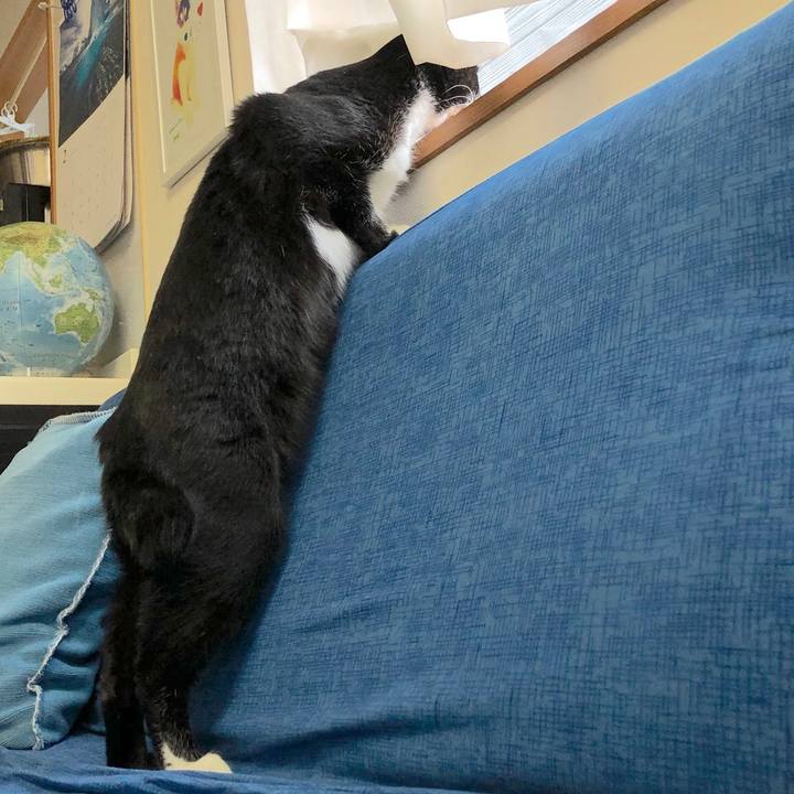 48dd218d 0035 4bd3 ab55 0140ecd407b0 1550202648022