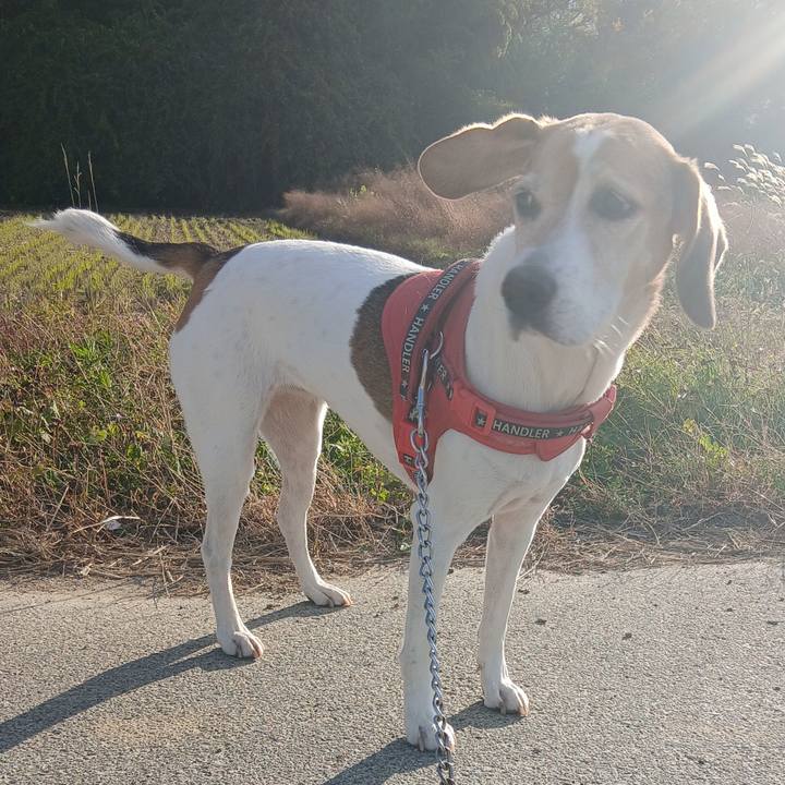 48dd2977 1e68 47a0 8975 e7f443a1ae55 1763463130337