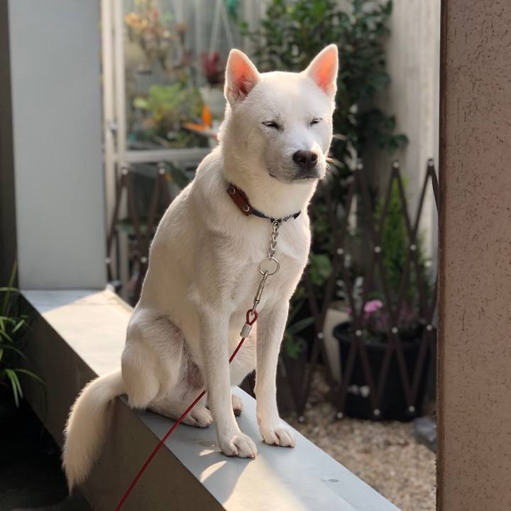 48dd58f8 3938 4b97 9ce3 5a0ad27cbbc8 1543119179468