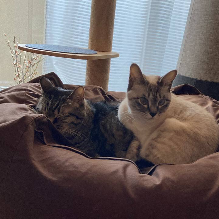 48dd68ca c44f 44b8 8e38 e0792d845b81 1614565707690