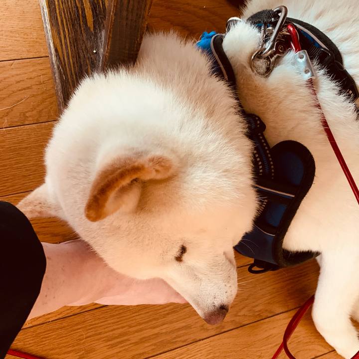 48dd6af0 a0e5 4925 87c8 dc8751cd2bba 1626843221991