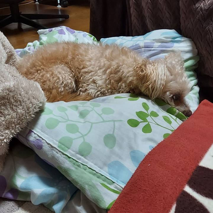 48dd7be6 9a48 4574 91e7 c23aa3728ec1 1740088906576