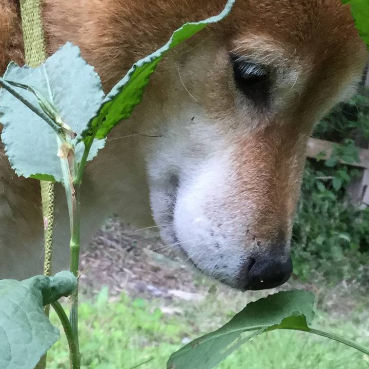 48ddba12 7672 4e1e 9e77 25236784ebfb 1558142153933