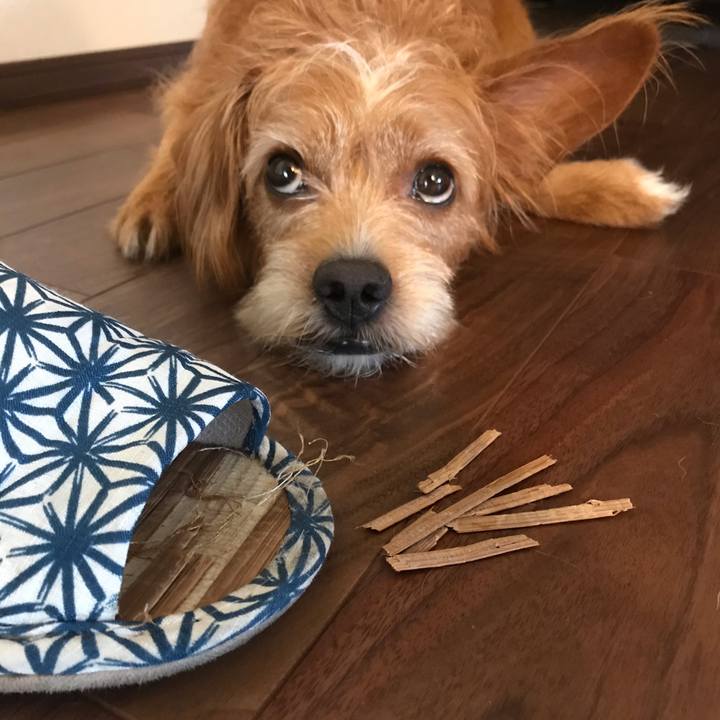 48ddc1f6 0f5c 42a6 a171 4fbf62ba8fee 1600500834796