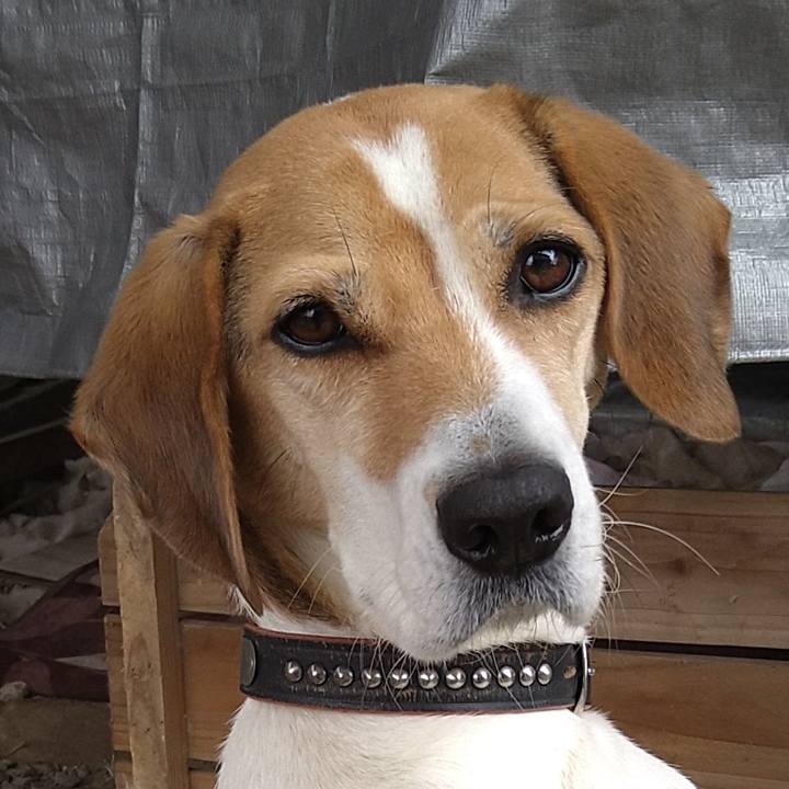 48ddc2d5 0b70 478c 8177 13fb9b6277bd 1640767972921