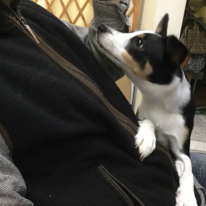 48dde28e df3a 4a62 abaa f96c0fa15adb 1575271322156