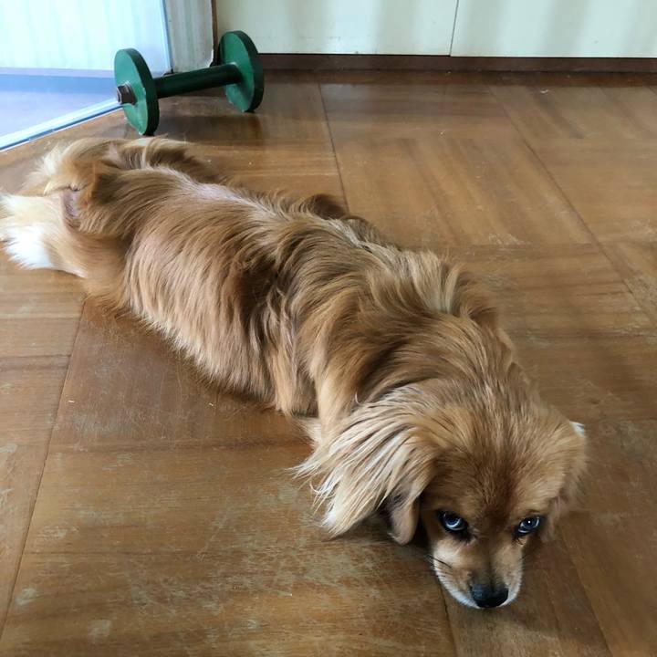 48ddf1a1 92d2 4d99 8815 7c5b9350473f 1529878869950