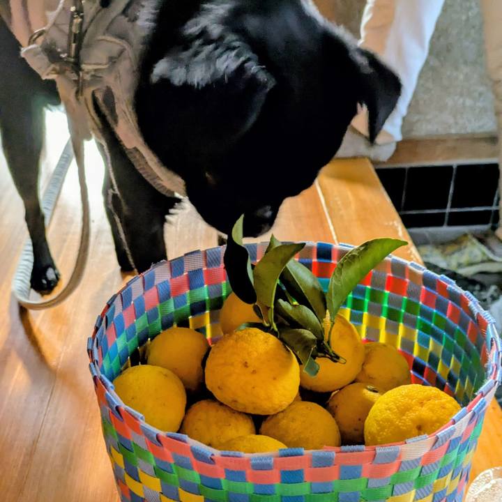 48ddf96e 41d1 407c 9c47 3c42c12dfe6c 1764975396206