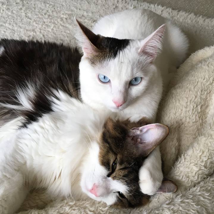 48de0a38 dc43 46e9 857e e4a5d6fe8154 1768442098823