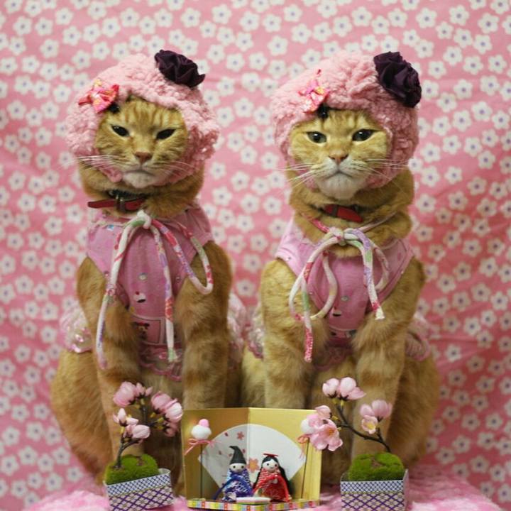 48de345a 6625 434d 8895 e2282da34260 1520091277759