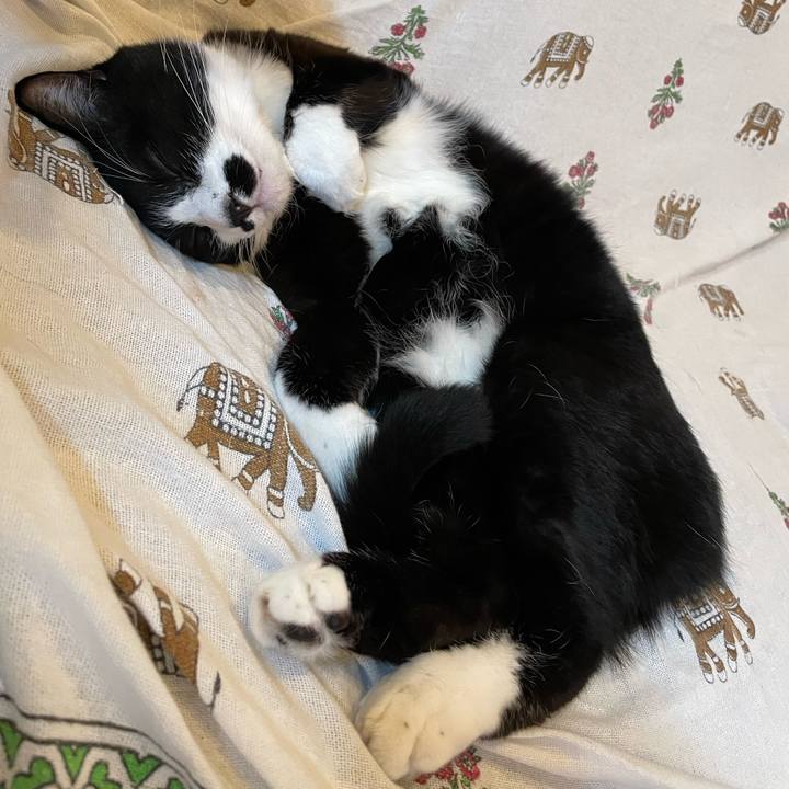 48de6158 3684 4458 aaf7 18e0f7ed281f 1701680771260