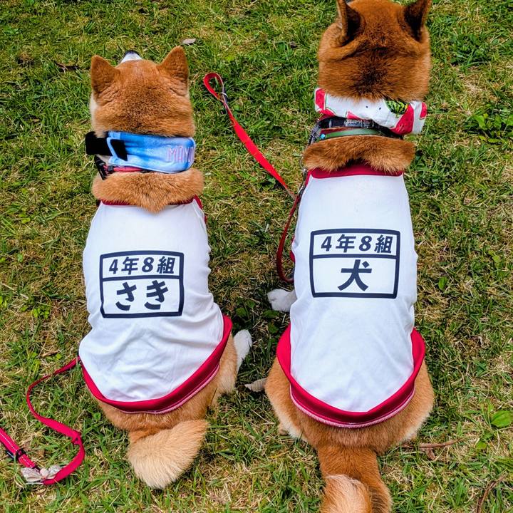 48ded979 1cda 482e a96c 3aa2484a1f47 1750732390769