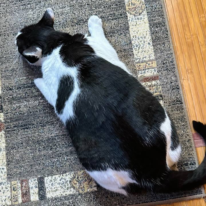 48deeb8d 135b 46e0 85e8 4a87fd780584 1728175100699