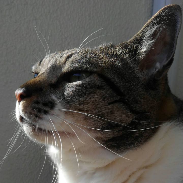 48df01e5 cc3d 470e a31b 99ad3406d31b 1517016504746