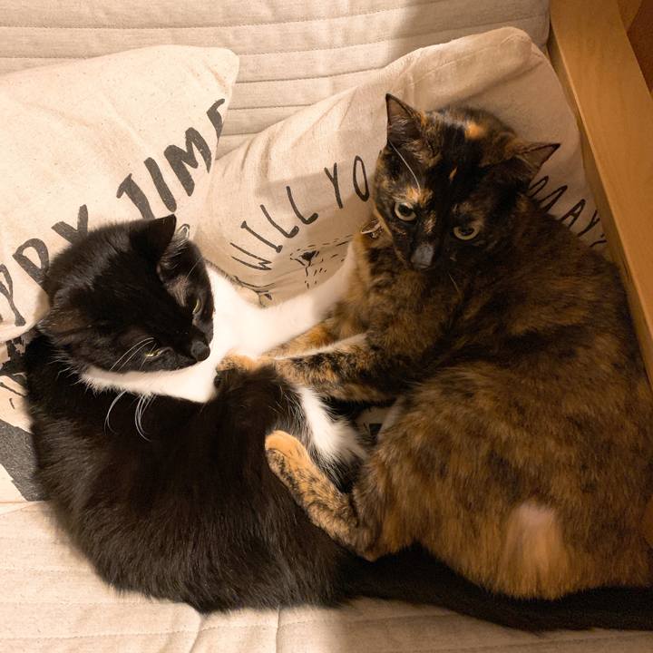 48df25f6 e8cc 440a bd3a 8269870883c5 1578710276134