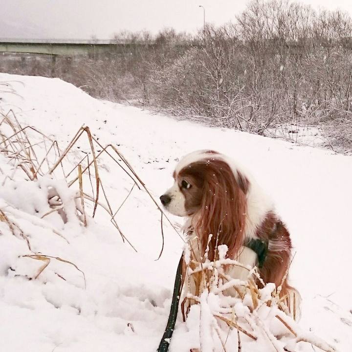 48df65a9 d760 4822 96c3 1fb7c0d65e3d 1553379937350