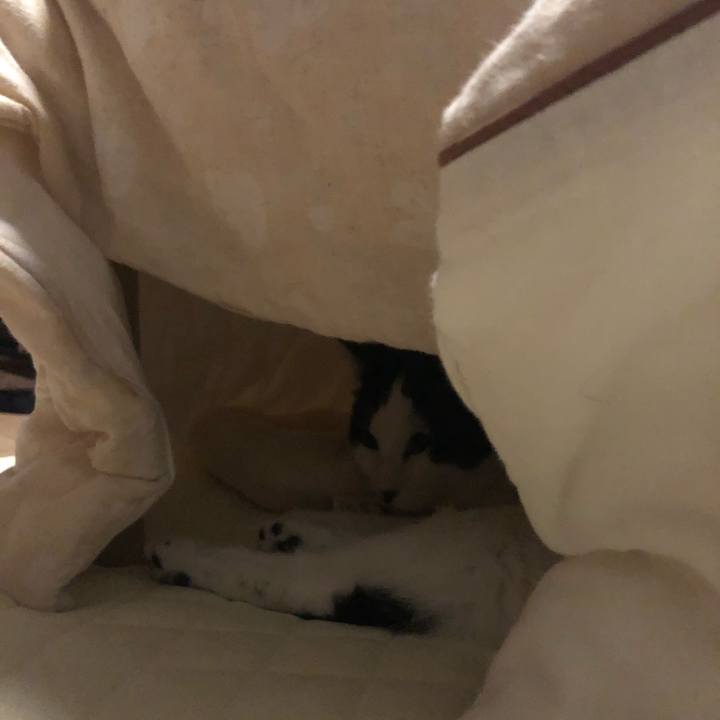 48df7802 a61f 434f b36d cd41b84e1b0c 1581345677800