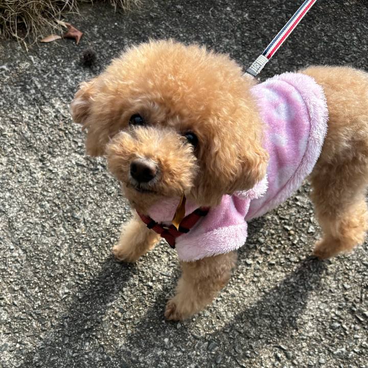 48df7f6a 58ad 4807 a955 f3c446540215 1710927123440