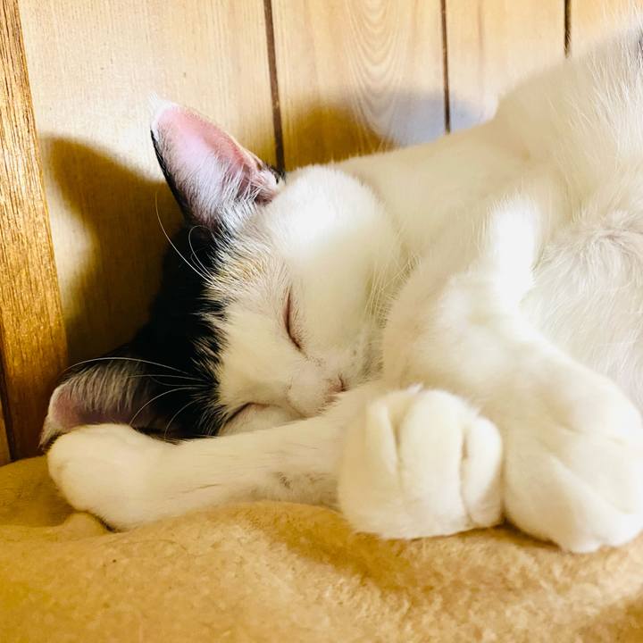 48df824e bd8d 4492 9420 330e6983ad10 1666614855009