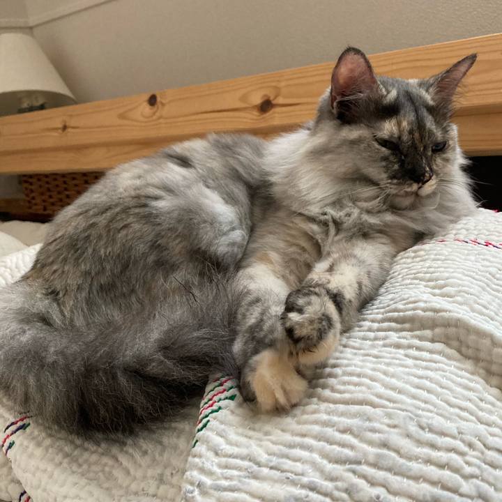 48df8853 eae0 494c a315 7bce15d36287 1726285539503