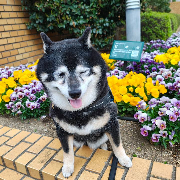 48dfbf3d e770 45d1 9f04 25bb579f828e 1776244446165