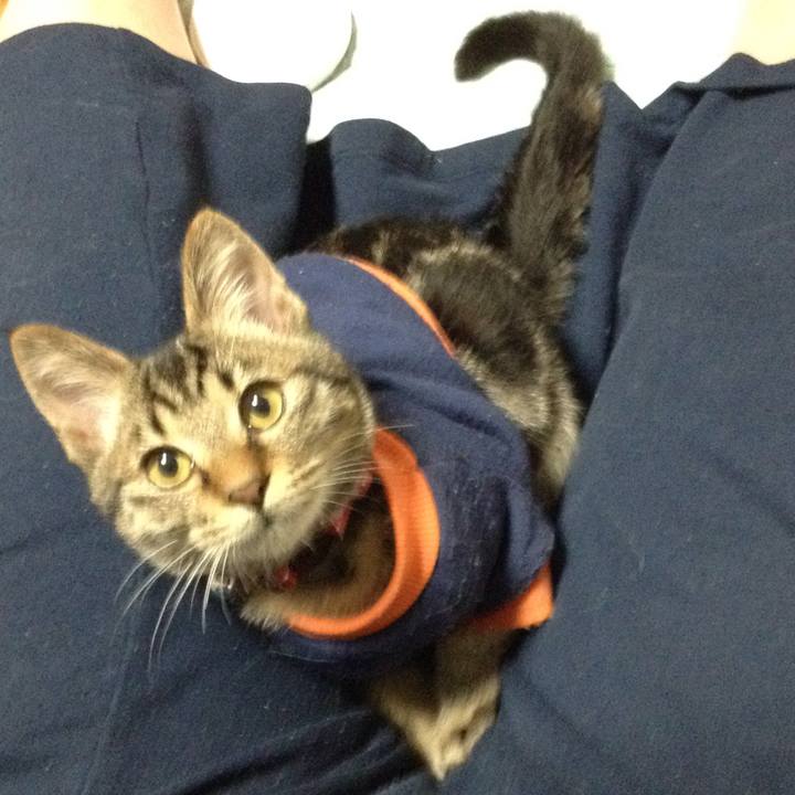 48e00b21 7011 4072 a4e0 9bacc86ecc63 1731489853171