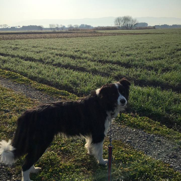 48e01884 b90f 4f44 af77 b7744d1d7622 1548373994673